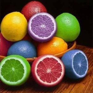 Meet your Posher, Indira